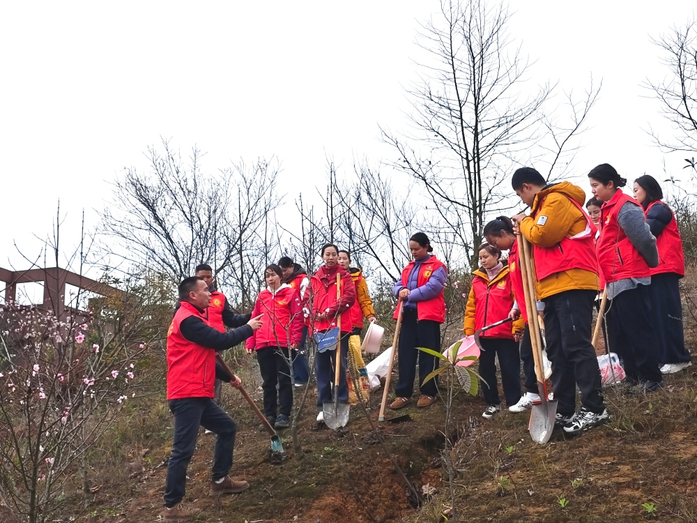 基础教学部党支部开展三月主题党日植树活动