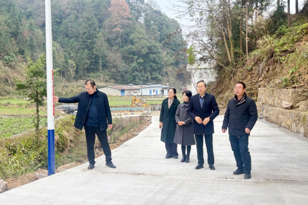 学院党委副书记、院长康铁东一行赴匀东镇新坪村、平浪镇凯酉村开展实地调研