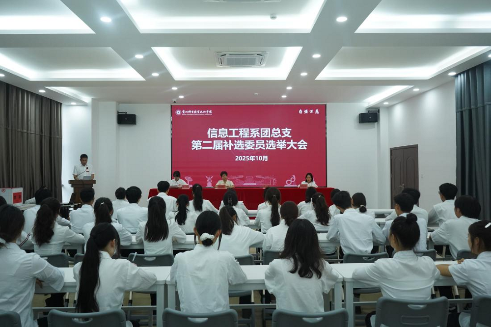 信息工程系团总支组织开展第二届补选委员选举大会